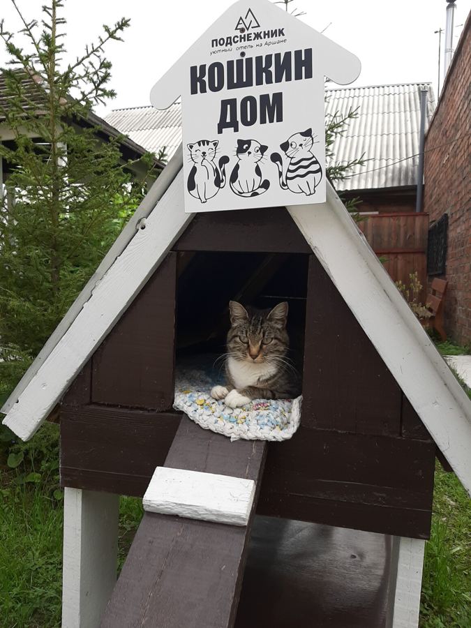 Кошкин дом